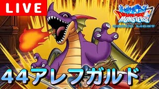 【DQMSL】アレフガルド４４でパーティ作成＆GP！【マスターズGP】