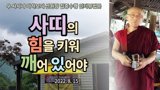 사띠의 힘을 키워 깨어있어야 : 우 사사나 마하보디 선원장 인터뷰 법문