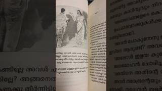 മാലാഖയുടെ മറുകുകൾ, കരിനീല | 2025 Reads | DC Books | KR Meera