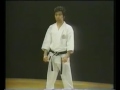 1,2,3,4,5,6,7,8,9,10,11,12 kata of.karate(2)