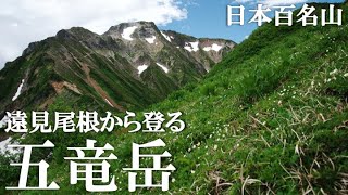 【五竜岳】北アルプスの岩稜帯を歩く！急登を登って五竜山荘へ！【Part1】