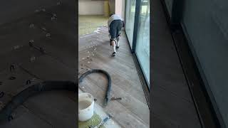 @Apexjasonmorganllc bucket slide test!#smooth #flat #money #no #lippage #tile #floor #herringbone