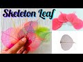 Leaf Skeleton Using Baking Soda | DIY Colored Leaf Skeleton | Art and Craft Projects | Leaf Art