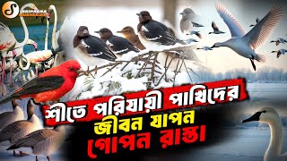 শীতে পরিযায়ী পাখিদের গোপন রাস্তা || Secret Routes of Migratory birds | Where Do Birds Go In Winter?