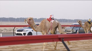 Land Rover | Al Marmoom Heritage Festival 2022