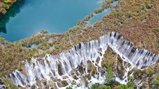 Live: Natural beauty - China’s widest waterfall 九寨诺日朗瀑布如银河飞泻