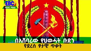 በአሸባሪው የህወሓት ቡድን የደረሰ ፆታዊ ጥቃት  Etv | Ethiopia | News