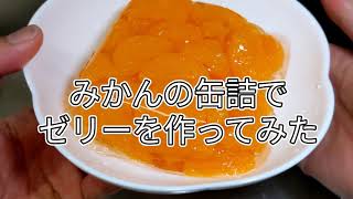 みかんの缶詰でゼリーを作ってみた