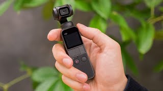 動き、可愛い！ DJI Osmo Pocket【1分レビュー】