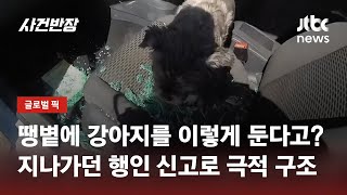 그늘도 없는 곳에 강아지만 덩그러니…지나가던 행인 신고로 살았다 / JTBC 사건반장