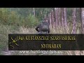 red stag hunting in hungary kustánszeg hd