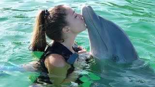 🐬 Dolphin Show | ডলফিন খেলা