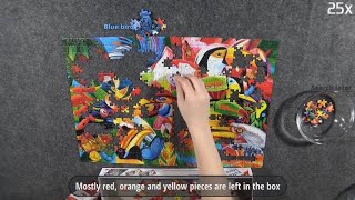 Tips to solve Trefl - Colourful birds 500 pieces jigsaw puzzle