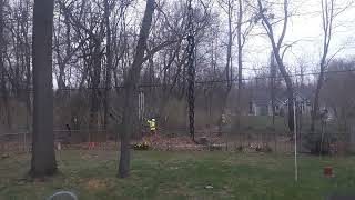 Asplundh tree trimming company clearing our power lines behind our house  !!!!TIMBER!!!!