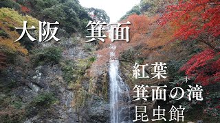 大阪　箕面の滝　紅葉