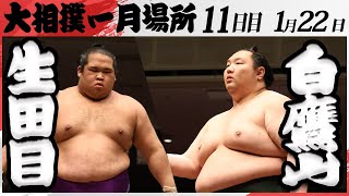 大相撲　生田目ー白鷹山　＜令和7年一月場所・11日目＞SUMO