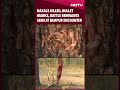 31 naxals killed bullet marks battle remnants seen at bijapur encounter site