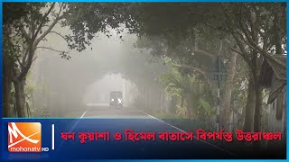 ঘন কুয়াশা ও হিমেল বাতাসে বিপর্যস্ত উত্তরাঞ্চল | Mohona TV