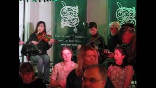 Siamsa Saint-Patrick's Ceili 2019 - The Harvest Time Jig #1