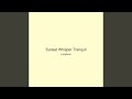 Sunset Whisper Tranquil