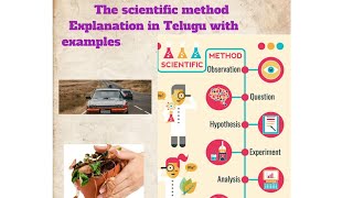 what are scientific methods | scientific methods with examples | with in 1 minute clear  concept |