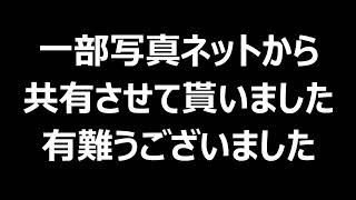 台湾から引き揚げて５日後に妹が、１年後に父が死んだ。栄養失調による衰弱死・餓死。・・・夢亥人生想庫③台湾回想