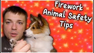 Firework Pet Safety Tips - Dog and Cat Edition - MumblesVideos
