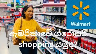 ඇමරිකාවේ ග්‍රොසරි shopping යමුද|Walmart|🇺🇸🇺🇸