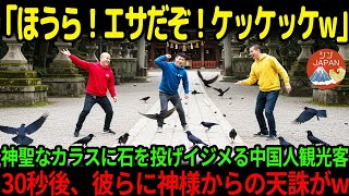 【海外の反応】「鳥のくせに邪魔！からかってやろうぜw」カラスに意地悪した中国人観光客。しかし5秒後、神様の逆鱗に触れ、怒りの天罰が彼らを襲うw