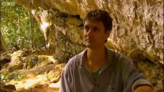 Hobbit cave - Mystery of the Human Hobbit - BBC