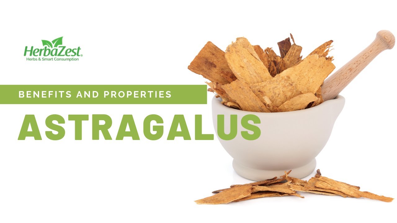 Astragalus Herbazest Youtube