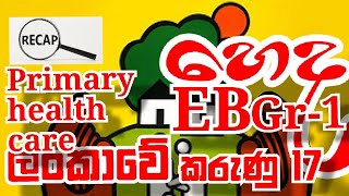 ප්‍රාථමික සෞඛ්‍ය සංරක්ෂණය - ලංකාවේ කරුණු 17 | හෙද EB Gr1 | A recap video