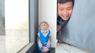 Hilarious 🤣 Cubis Monkey worried running away from Dad after sneaking snack!