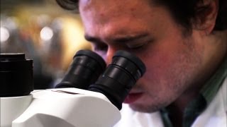 The Surprising Strategy Used to Catch a Killer