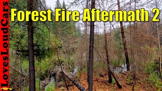 Alberta Forest Fire Aftermath 2023