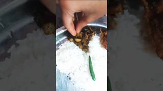 বৌদি চালে এত পোকা থাকে কেন? #comedy #shortsviral #lunch #food #foodvideos #