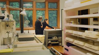 The Making of a Dye-Transfer | William Eggleston