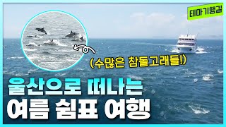 울산으로 떠나는 여름 쉼표 여행 | 테마기행길