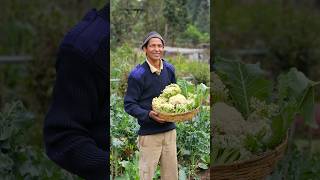 The beauty of nature! 🌿✨ #organicfarming #teamwork #inspiration