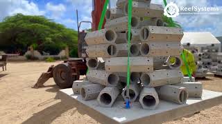 ReefSystems: Installation of artificial reefs in Aruba