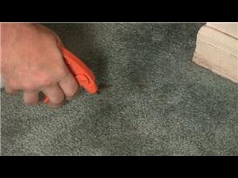 Carpet Cleaning : How to Remove Dry Blood Stains in Carpet Carpet Cleaning : How to Remove Dry Blood Stains in Carpet