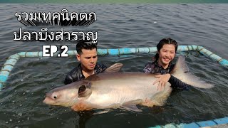 รวมเทคนิคตกปลาบึงสำราญEP.2 บวกแข่งกันสนุกๆในกลุ่ม