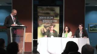 What is the difference between opioids and narcotics?