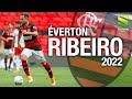 Éverton Ribeiro - Skills & Gols pelo Flamengo | 2022 HD