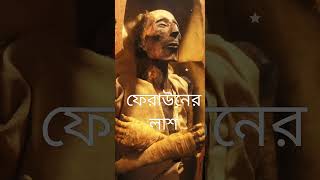 ফেরাউনের লাশ👈👈🧎‍♂️