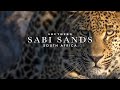 Southern Sabi Sands, South Africa | Wildlife Photographic Safari | 4k 100fps