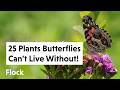 25 POLLINATOR PLANTS That BUTTERFLIES Can't Live Without — Ep. 263