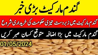 wheat price in pakistan/gandam rate today/wheat price in pakistan today