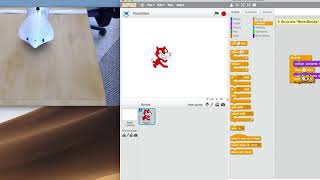Parallels between programming in Scratch and Scratch for the Finch robot