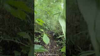 Trekking in Rain to Amazon View Point | Chaliyar River | Must Visit Place Malappuram | ___yahiya___